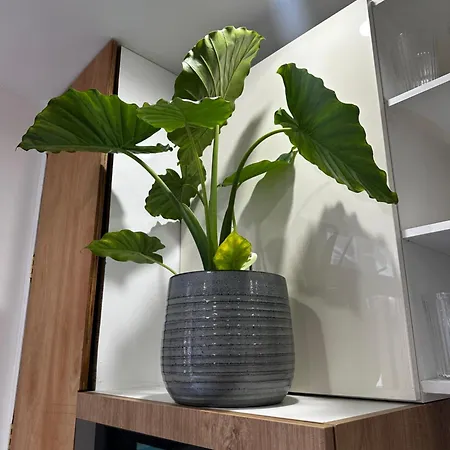 Charming Canal-side In The Heart Of *