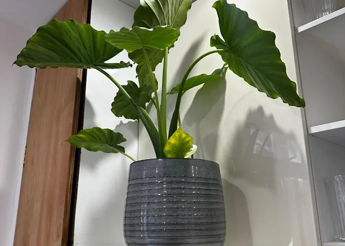 Charming Canal-side In The Heart Of *